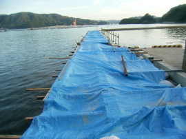 青井防波堤29