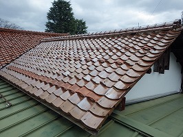 傘松ケーブル02