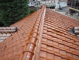 傘松ケーブル03