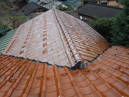 傘松ケーブル04