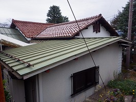 傘松ケーブル05