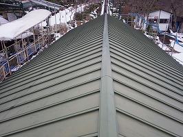 傘松ケーブル06