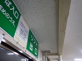 傘松ケーブル09