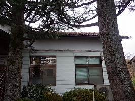 傘松ケーブル12