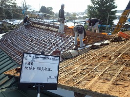 傘松ケーブル15