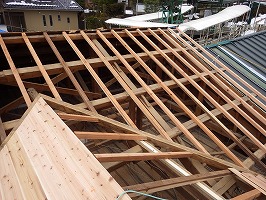 傘松ケーブル18