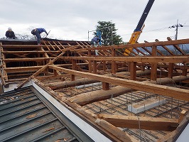 傘松ケーブル19