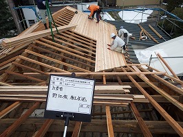 傘松ケーブル20