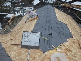 傘松ケーブル21