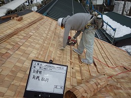 傘松ケーブル22