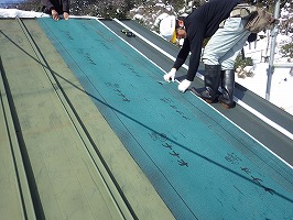 傘松ケーブル23