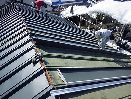 傘松ケーブル24