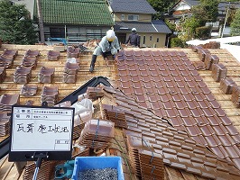 傘松ケーブル26