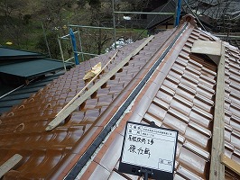 傘松ケーブル27