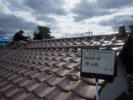 傘松ケーブル28