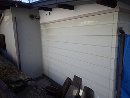 傘松ケーブル31