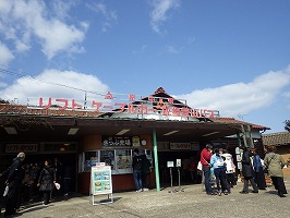 傘松ケーブル33