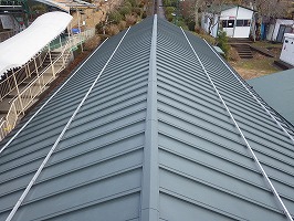 傘松ケーブル38