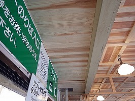 傘松ケーブル41