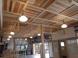 傘松ケーブル42