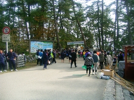 グリーンはしだて１人１坪大作戦02