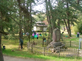 グリーンはしだて１人１坪大作戦05