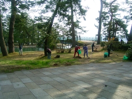 グリーンはしだて１人１坪大作戦06