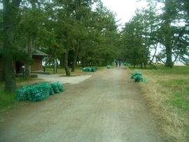 グリーンはしだて１人１坪大作戦09