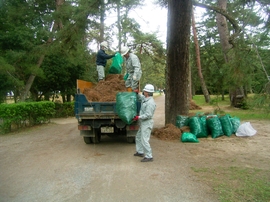 グリーンはしだて１人１坪大作戦10