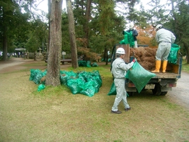グリーンはしだて１人１坪大作戦11