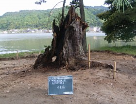 天橋立公園　公共自然公園施設整備工事01