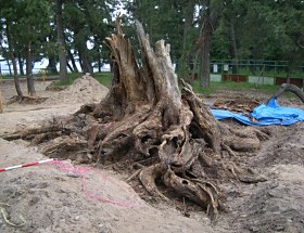 天橋立公園　公共自然公園施設整備工事02