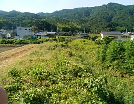 大手川　河川激甚災害対策特別緊急工事（盛林寺・今福川）01