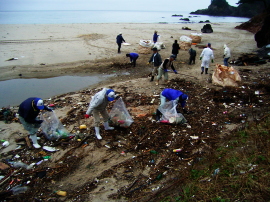海岸清掃ボランティア03