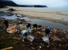 海岸清掃ボランティア04