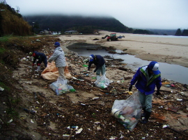 海岸清掃ボランティア05