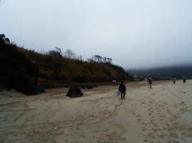 海岸清掃ボランティア06