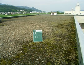 京都府立看護学校屋上防水改修工事01