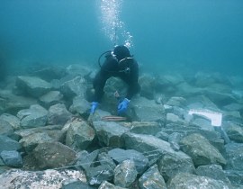 後ヶ浜海岸侵食対策工事07