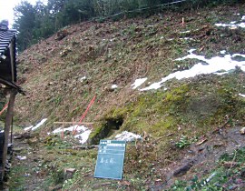 新庄　急傾斜地崩壊対策工事04