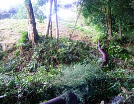 滝馬川砂防激甚災害対策特別緊急工事03