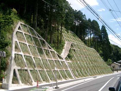 中津獅子線自転車歩行者道