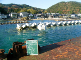 養老(大島)漁港海岸離岸堤整備工事09